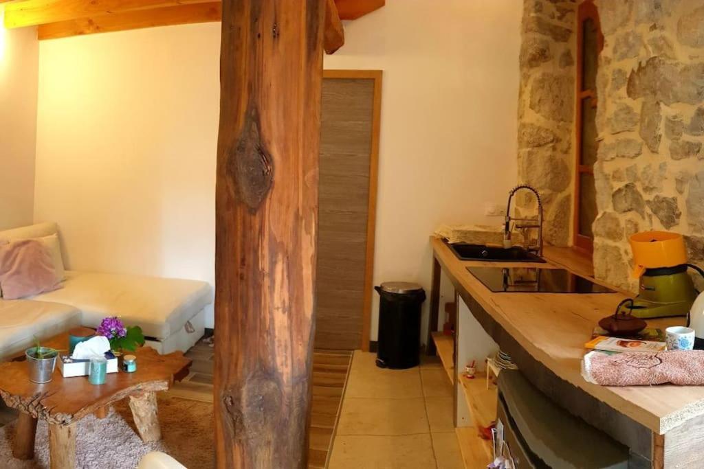 L'Huile Et L'Eau Διαμέρισμα Antraigues Εξωτερικό φωτογραφία